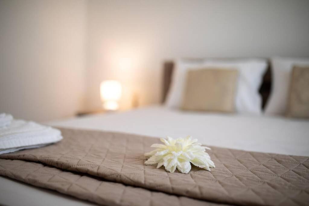 Apartment Natali Punat- Free Parking On Premises 外观 照片
